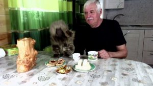 Дома вой
