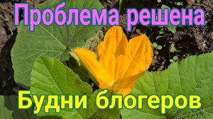 Будни блогера. Проблема решена. Мысли вслух.  Вдоль по саду-огороду.  Ремонты и работа Олега.