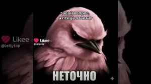 задай 🌐вопрос❓ а птица 🐦ответит ✅