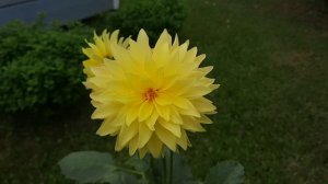 Маленькие радости майского утра