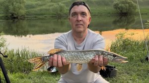 Дон, РЫБЫ-МОНСТРЫ РВУТ поводки.