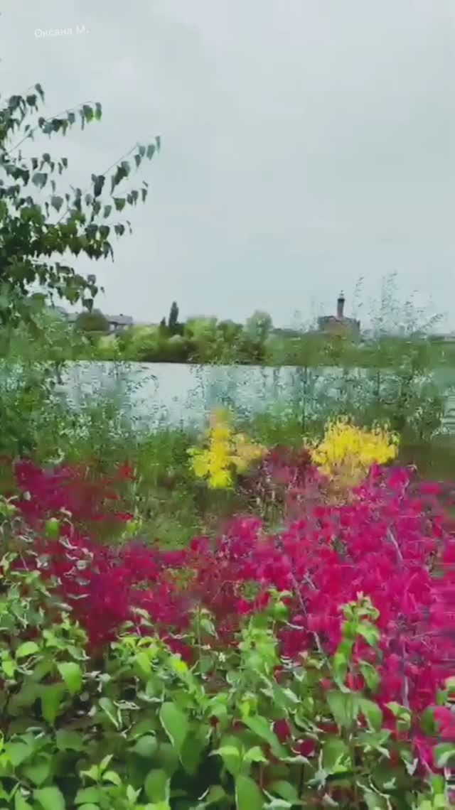 Разнотравье на озере Кабан. Казань.mp4