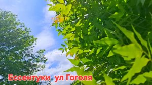 Ессентуки ул Гоголя 23-05-2026