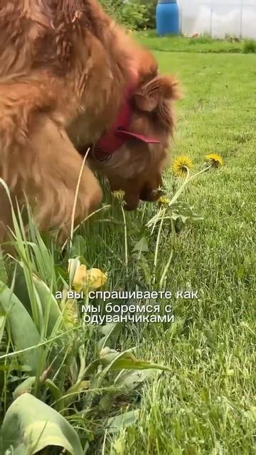 VID_20260523_211335_546.mp4