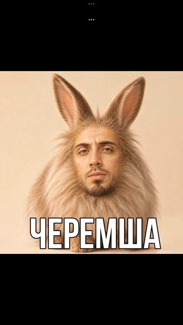 Черемша