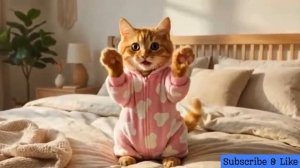 Когда рыжий котёнок теряет своего плюшевого мишку, мама-кошка преподносит ему неожиданны