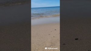 293/ Калининград глазами моей дочери/ Светлогорск и Зеленоград...
