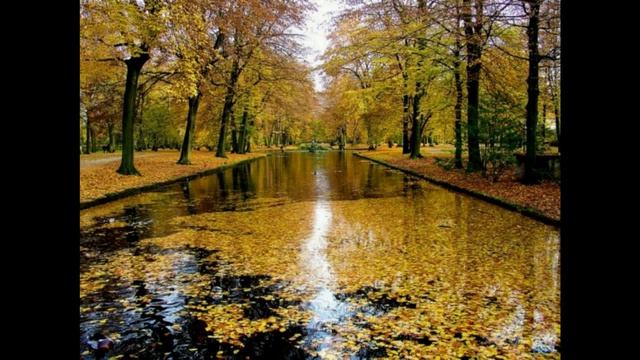 Бесконечные дожди-Лена Швец - Автор исполнитель