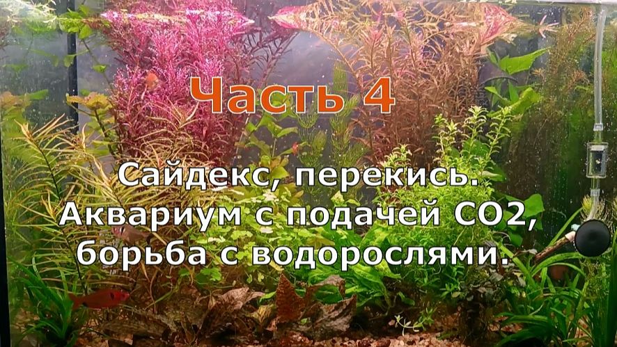 Часть 4. от 23.05.26.   Подача СО2 Сайдекс, перекись.  Борьба с водорослями.