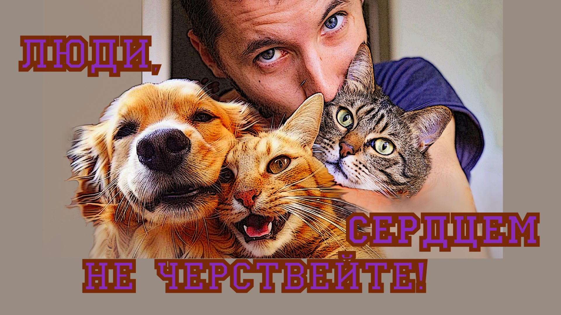 Люди, сердцем не черствейте!