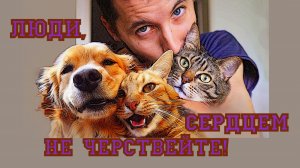 Люди, сердцем не черствейте!
