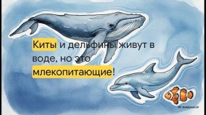Мир и многообразие царства животных 2 класс окружающий мир Плешаков