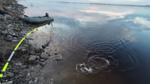 Рыба клюёт прямо под ногами. Огромные лапти на закидушку. Рыбалка на севере.