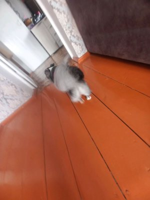 дададад
