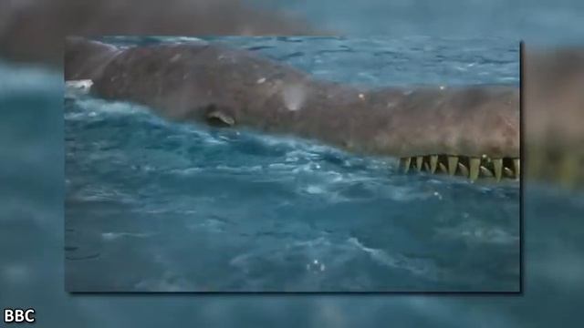 The Speculative Evolution of the Loch Ness Monster-854x480-avc1-mp4a смотреть онлайн