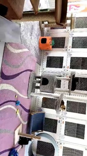 Котель - 23 мая