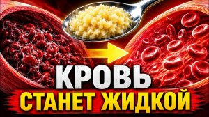 Кровь станет жидкой? Как правильно есть чеснок для сосудов
