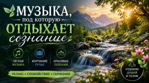 🌿 Музыка, под которую отдыхает сознание