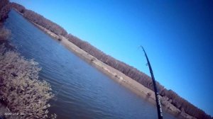 Сегодня порыбачил на фидерное удилище🎣 Прикормка Стерля (Чеснок). Наживка навозный червь, опарыш.