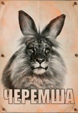 с нуля до ла гранде