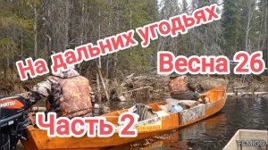 На дальних угодьях. Весна 26. Часть 2.