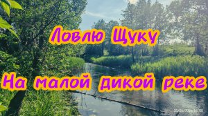 269-Ловлю Щуку на малой, дикой реке.(19-20.05.2026)