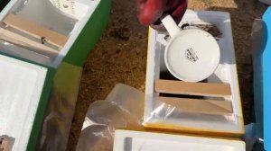 Заселение нуклеусов. Обзор самодельного нуклеуса на 4 отделения.
