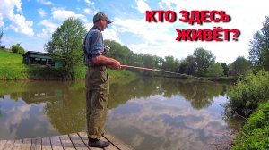 ВОЛШЕБНЫЕ ПРУДИКИ. Рыбалка в новых неизведанных местах.