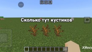 Тест на QI в майнкрафте