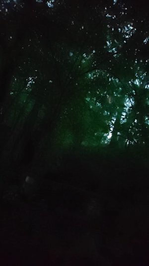 Вечер