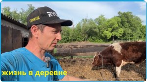 СДАЛИ ПОСЛЕДНИХ БЫКОВ НО РАБОТЫ ВСЁ РАВНО ХВАТАЕТ, ЖИЗНЬ В ДЕРЕВНЕ