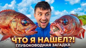 Ловушки Сработали, Зомби-Крабы Пойманы — Выживаю в Бермудском Треугольнике | Часть 2