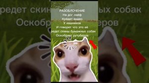 РАЗОБЛОЧЕНИЕ НА ДОГ ЛАЙФ НЕПРДАБАЮЩИЙ КОНТЕНТ КРАЖА Чужих видео , идей и тд Оскорбление рутуберов!!!