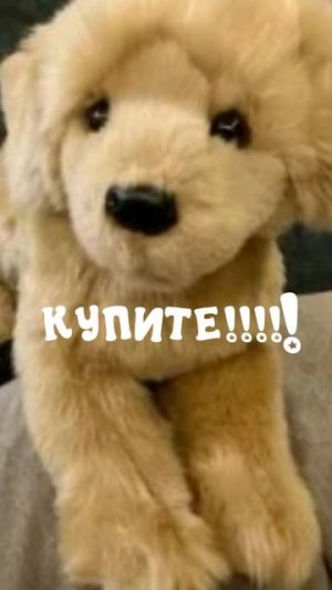 КУПИТеЕЕеЕЕЕЕ.
ВИДЕО МОЁ!!!
Лень было текст монтировать....