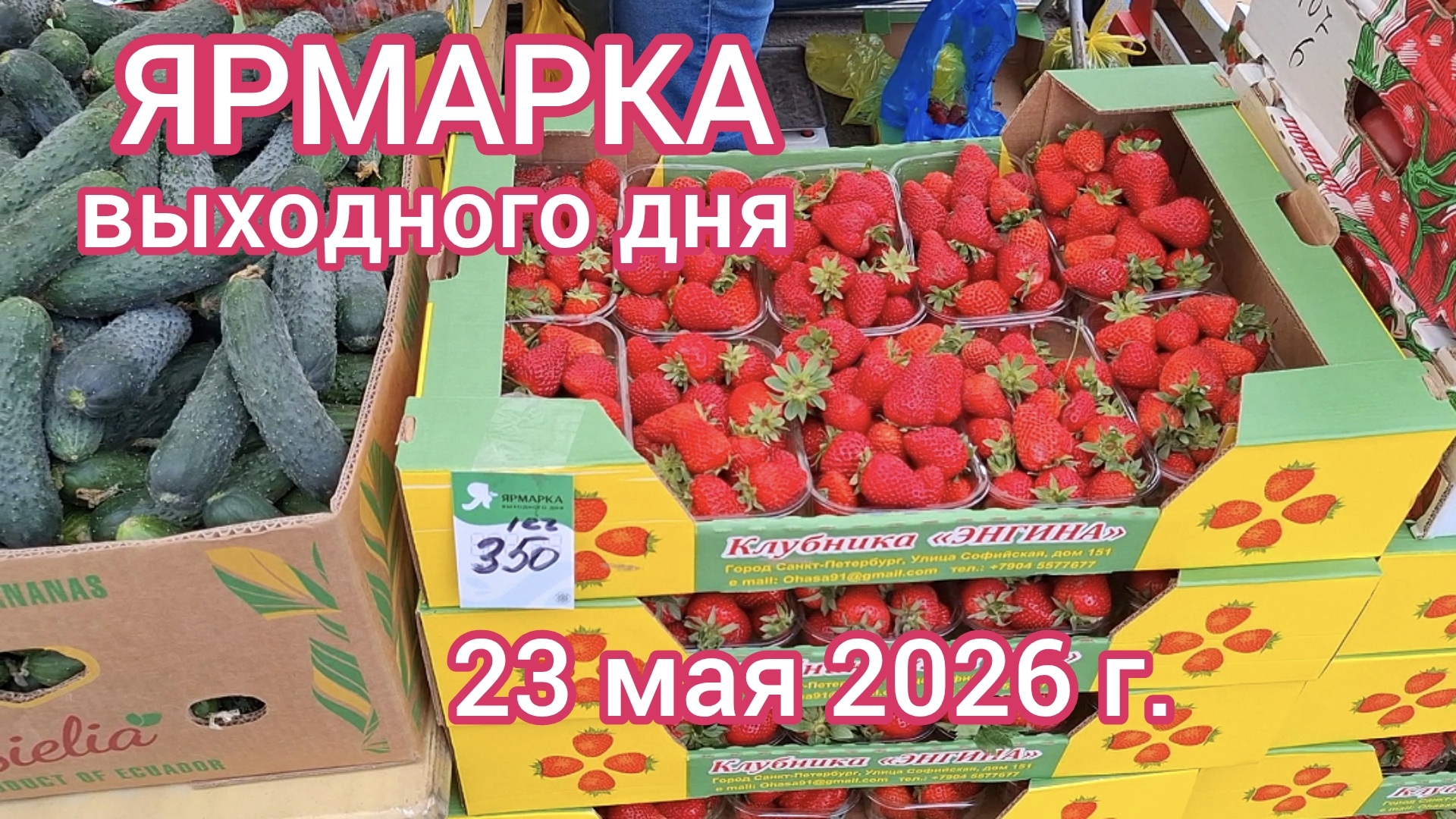 Краснодар - ЯРМАРКА на ул. Одесская - цены на продукты - 23 мая 2026 г.