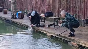 Активные поимки форели до зарыбления
