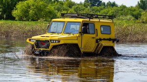 СТМ-3993