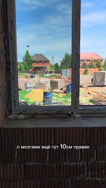 #shorts Птичку жалко