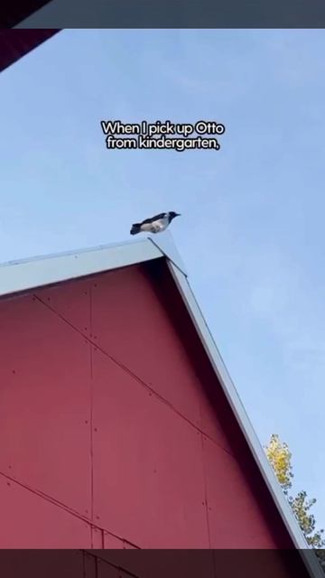 VID_20260522_201952_483.mp4