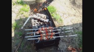 Огородный сезон 2010 г.  Архив