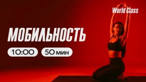 МОБИЛЬНОСТЬ с Дарьей Уткиной | 24 мая 2026 | Онлайн-тренировки World Class