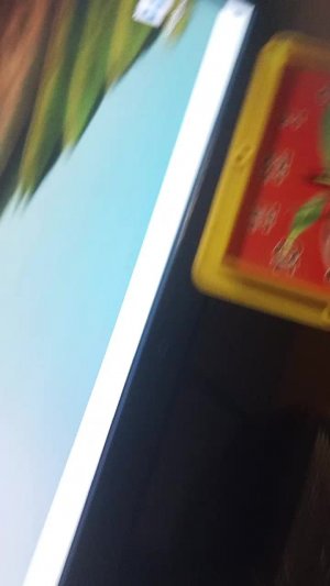 Играем в Игры Будит 250 зрителей откушу лемон