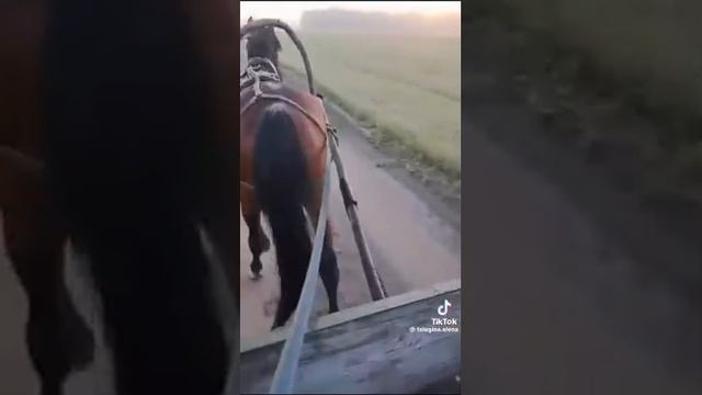 За деревней туман... смотреть онлайн