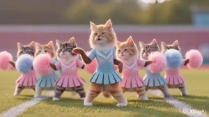 Котики зажигательно танцуют