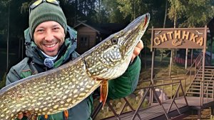 ЩУКИ и СУДАКИ по ХОЛОДНОЙ воде! РЫБОЛОВНЫЕ Базы - СИТИНКА, Рыбинское вдхр.