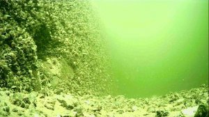 1000016800.mp4Волга гл.5м.23.05.2026г.