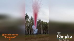 НОВИНКА! Дымная мина для Гендер пати - девочка