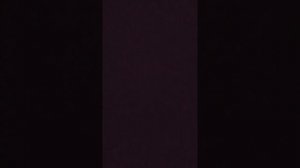 1000001169.mp4