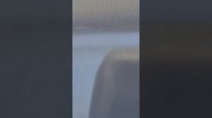 1000012403.mp4