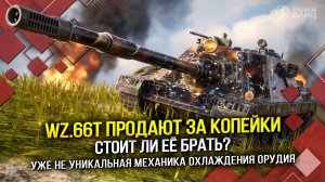 Wz.66T продают за копейки - стоит ли её брать? (Tanks Blitz | Танки Блиц)
